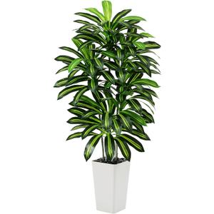 Artificial Dracaena Tree - 5FT Tall Fake Plants with White Tall Planter - Artificial Plants Indoor Floor Plant in Pot - Large Tropical Fake Yucca Potted Tree for Home Office Living Room Decor