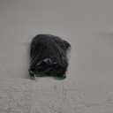 Women Church Dresses Bodycon Work Dress Bell Long Sleeve Round Neck Business Pencil Dresses (XX-Large)