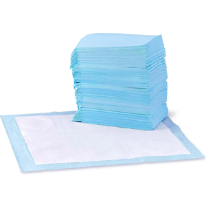 Basics Dog and Puppy Pee Pads, 5Layer LeakProof Super Absorbent, QuickDry Surface, Potty Training, Regular (22x22"), 100 Count, Blue & White