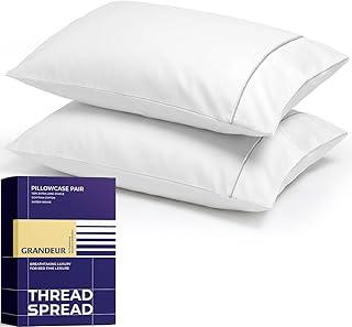 THREAD SPREAD 100% Egyptian Cotton Pillowcases Queen Size Set of 2 - Luxury 2000 Series Standard/ Queen Pillow Cases, Soft Cooling Sateen Weave, Envelope Closure Hotel Style (21” x 32”, White)