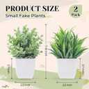 Der Rose 2 Pack Small Fake Plants Mini Artificial Potted Plants for Table Desk Home Laundry Room Bathroom Office Decor