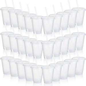 Sieral 30 Pack Cups with Lids and Straws Kids Tumbler with Straw Reusable Water Bottle Iced Coffee Travel Mug Adults Plastic Cups for Parties 16 oz (Clear Colors)