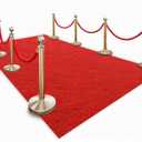 Thick Red Carpet Runner for Party,3 x 10ft Non-Slip Backing Aisle Runway Rug for Party,Occasions,Graduation,Wedding& Indoor Outdoor Special Events Decorations (Dark Red, 310Ft(Multi-Pile))