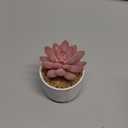 ZENIDA Succulent Artificial Plants, Cute Fake Succulents in 4 White Ceramic Pots, Small Fake Plants for Office, Table, Desk, Bathroom, Bedroom, Aesthetic Room Shelves Decor, Desk Decorations for Women Office