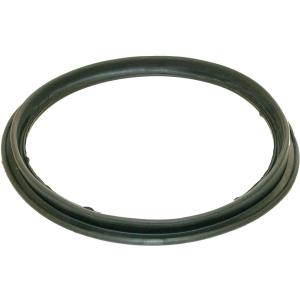 Hayward ECX1105 Replacement Pool Filter Diaphragm Gasket (EC65/EC65A/EC75/EC75A)