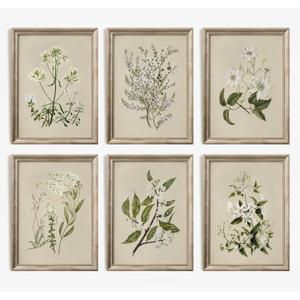 Vintage Botanical Wall Art Set of 6 Neutral Floral Canvas Wall Decor Wildflower Wall Art Watercolor Flower Prints Botanical Poster Minimalist Plant Pictures for Bedroom Living Room 8x10 Inch Unframed