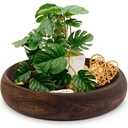 SAMGUYUE Wooden Decorative Bowls, 13 Inch Round Paulownia Wood Centerpiece Bowls for Home Decor, Blackened Fruit Bowl for Coffee Table, Key Tray for Entryway Moss Holder (Black)