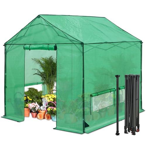INTER HUT 10x10 Pop Up Greenhouse, Instant Walk in Green House with PE Cover, Power Ports, Roll up Doors & Windows for Indoor Outdoor Plant Growing, Green