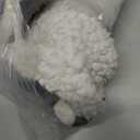 Homemate Heated Blanket Electric Throw  50“x60“ Heating Blanket with 10 Fast Heat Levels 8 Hours Auto Off Soft Cozy Flannel OverHeated Protection ETL Certification Keep Warming in Home