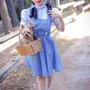 IMISHM Halloween Costumes for Women Girl Storybook Adults Character Costume Blue White Gingham Dress Hair Ribbons sock set (XL)