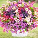 trytuny Artificial Flowers for Outdoor, UV Resistant Realistic Fake Flowers and Faux Plants for Indoor Outdoor, Garden Patio Porch Window Box Decor All Year (12pcs - Mixed Color)