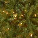 National Tree Company 4 ft Pre-Lit Dunhill Fir Mini Artificial Christmas Tree, 200 Warm White LED Lights, 559 Tips, Includes Stand, Green