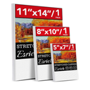 3 Pack Canvases for Painting with Multi Pack24x16, 5x7, 8x10, Painting Canvas for Oil & Acrylic Paint
