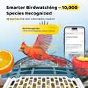 Bird Feeder with Camera 5MP Live Video, Solar Powered Smart AI Identify Birds Species, 2.4Ghz WiFi Camera Bird Feeder with Squirrel-Proof, Instant Arrival Alerts, Ideal Gifts for Bird Lovers