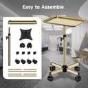 Salon Tray, Premium Metal Rolling Tray Cart, Tattoo Tray Height Adjustable, Dentist Tray Medical Tray Spa Service Rolling Tray,Champagne Gold