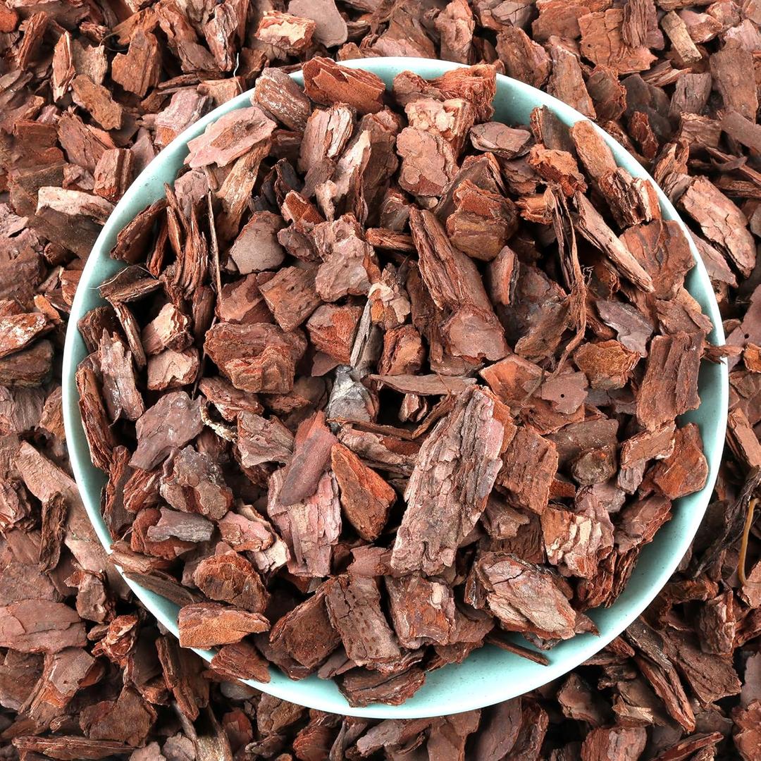 AVALUTION Orchid Potting Bark-9QT Organic Orchid Bark for Plants, All Natural Pine Bark Wood Chips for Houseplant Mulch, Orchid Plants Root Development, Mulch for Potted Plants (Large)