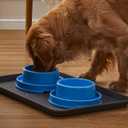 PetLike Ants Away Dog Bowls Pet Food Bowls, No Spill Cat Food Bowl Water Food Feeder Pet Dishes for Cat Puppies Small Medium Dogs