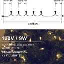 Hopolon 2 Pack 13ft 50-Count Clear Green Wire Christmas Light Set,Incandescent Mini Christmas Lights, Connectable 120V Clear Tree Lights for Wedding, Bedroom, Classroom, Porch Decor(2pcs Warm White)