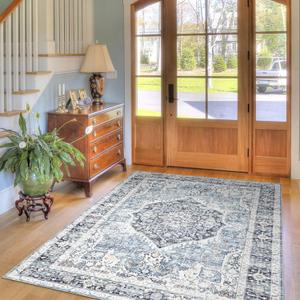 Area Rug 4x6, Vintage Boho Rug,Ultra-Soft Low Pile, Washable, Non Slip,Stain Resistant Printed Carpet for Living Room Bedrooms Playroom Office Kitchen, Light Blue
