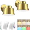 AIBOO Art Display Lights, Picture Lights Rechargeable Gold, Color Changing & Dimmable with Remote LED Rotatable Wall Lights for Pictures, Paintings, Portraits, Artworks (2 Pack)