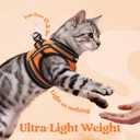 Rabbitgoo Cat Harness and Leash Set for Walking Escape Proof, Adjustable Soft Kittens Vest with Reflective Strip for Cats, Comfortable Outdoor Vest,Light Orange,M