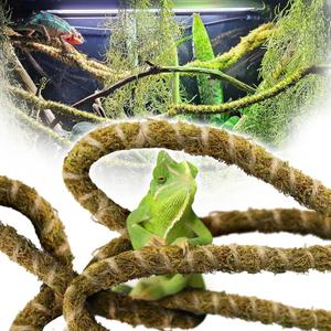 Duspro 10FT Reptile Vines for Climbing Bendable Branch for Reptile Natural Moss Rope Jungle Decor for Bearded Dragon, Chameleon Tank Accessories, Snake Gecko Lizard Terrarium, Green Reptile Vine - 10 Feet