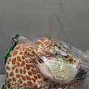 Giraffe Bouncy Horse Toys for 1 2 3 4 5 Year Old Kid Gift, Plush Giraffe Ride On Bouncy Animal for Toddlers 1-3, Indoor Outdoor Inflatable Hopping Toys for Girl Boy Birthday Gift(Pump Includ)