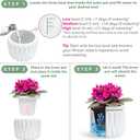 6 Inch African Violet Pots Self Watering, Ceramic Planter with Water Reservoir and Fill Lines, 4 Inch Opening, Indoor Flower Pot, Holds 3 Weeks of Water (2 Pack White)