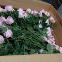 Lyrow 200 Pcs Artificial Roses Realistic Flowers Bulk Real Looking Fake Silk Rose Bouquets with Long Stem Flowers for Wedding Table Centerpieces Bridal Shower Party Home Garden Decor (Pink)