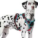 Eagloo Dog Harness for Large Dogs, Easy Wearing with 3 Buckles, Adjustable No Pull Pet Harness with 2 Rings for Walking, No Chock Reflective Soft Padded Vest with Control Handle, Red & Teal, XL (X-Large)