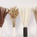 Dried Pampas Grass Decor, 100 Stems Pampas Grass Contains Bunny Tails Dried Flowers, Reed Grass Bouquet for Wedding Boho Flowers Home Table Decor, Rustic Farmhouse Party (17", White and Brown)