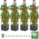 4 Pack Raised Garden Bed Planter Box with Trellis, 57" Self-Watering Tomato Cage Planters for Climbing Plants Vegetable Vine Flowers Outdoor & Indoor (57x9.8x9.8IN)