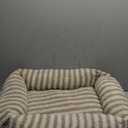 MIXJOY Dog Bed for Medium Small Size Dog, Washable Medium Dogs Bed with Removable Cover, Rectangle Doggy Ded Fluffy Plush Faux Fur Pet Bed with Anti-Slip Bottom, 25"x21"x7", Beige