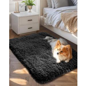 Ophanie Small Black Entryway Throw Rugs for Bedroom, 2x3 Mini Area Rug, Affordable Non Slip Fluffy Carpet, Fuzzy Soft Living Room Rugs, Home Decor Aesthetic, Nursery