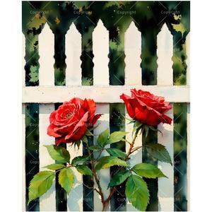 Rose Garden Fence Paint by Numbers Kit for Adults DIY Two Red Roses on White Fence Painting on Canvas 16x20 Inch, Acrylic Paint Set, Suitable for Beginners,Art for Home Decoration or Gifts