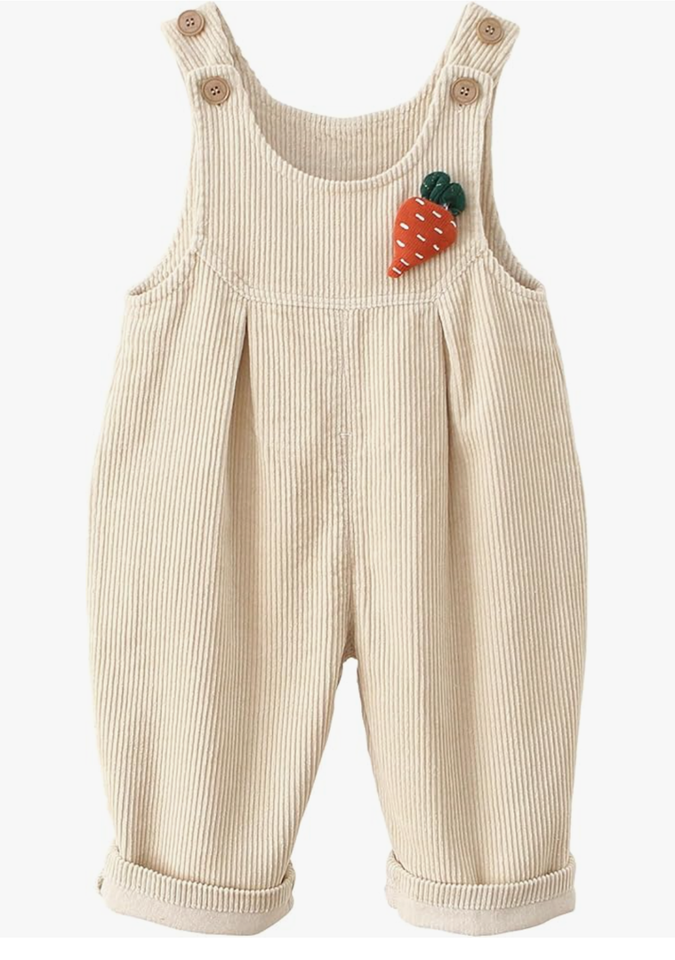 Happy Chery Baby Kids Corduroy Overalls Spring Fall Winter Bib Pants Warm Suspender Jumpsuit for Boys Girls- 24M