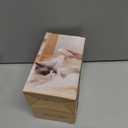 2 x 3-in-1 Soft Steam Grooming Brush for Dogs & Cats: Hair Remover, Cleaning & Massaging, Water Brush for Shedding, Suitable for Indoor Haired Cats, Dogs & Rabbits (Purple)