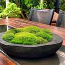 Preserved Pole Moss Pillow Bun Cushion Natural Green Decorative Real Natural Green DIY Kit Terrariums Gardenning Art Wall Decor Florist Decor Easter Table Wedding(1.5 sq.ft, Green-B)