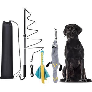 Flirt Pole Dogs, Dog Chase Toy with Squeakers Inside, Dog Fishing Pole Toy for Large Medium Small Dogs to Keep The Puppy Entertained and Physically Exhausted, Rope+Beaver