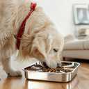 Stainless Steel Slow Feeder Dog Bowls Large & Medium Breed 3 Cups, Food Grade 304, Non-Slip Base, Deep Ridges to Slow Eating, Metal Slow Feeder Dog Bowls, Dishwasher & Chew-Proof & Rustproof