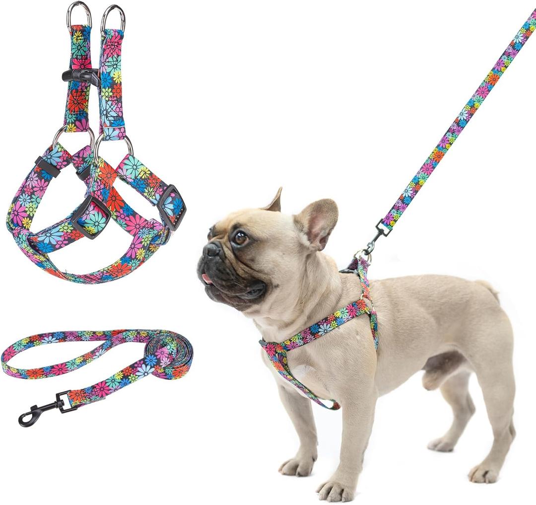 BEAUTYZOO No Pull Dog Harness and Leash Set - Adjustable Step-in Puppy Harness for Small Medium Large Dogs, Escape Proof Soft Nylon Vest with Double D Ring for Walking Running Training, L