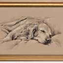InSimSea Gold Framed Canvas Prints Wall Art, Vintage Dog Decor, Sketch Dog Sleep Paintings Farmhouse Wall Decor Aesthetic, Antique Minimalist Pictures for Bedroom Living Room Shelf, 12x16inch