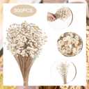 500 Pcs Natural Dry Flowers Mini Chamomile Small Star Daisy Dried Flowers Decorative White Daisy Bouquet for Wedding Vase Arrangements Decorations