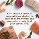 Rachael Ray Nutrish Natural Wet Cat Food, Ocean Lovers Variety Pack, 2.8 Ounce Cup (Pack of 12), Grain Free (EXP 11/14/26)