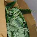 2-Pack 42" Fake Ferns for Outdoor Planter 79 Fronds Large Artificial Boston Fern Bush, Faux Hanging Baskets Plants Indoor 28" Tall Home Office Garden Porch Decor