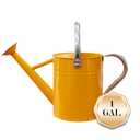 yourjoy Metal Watering Can, One Gallon Watering Cans Stainless Steel for Outdoor Indoor Garden Plants Watering (Yellow)