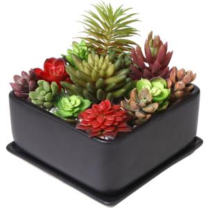 MyGift Modern Black Ceramic Square Indoor Small Planter, Flower Succulent Plant Pot with Drainage Hole and Removable Drip Tray