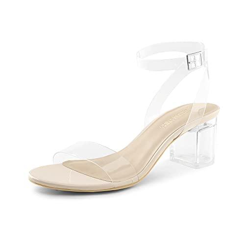 DREAM PAIRS Women's Open Toe Ankle Strap Low Block Chunky Heels Sandals Party Dress Pumps Shoes,Size 11,Nude/Clear,Carnival