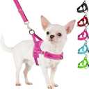 SlowTon No Pull Small Dog Harness and Leash Set, Puppy Soft Vest Harness Neck & Chest Adjustable, Reflective Lightweight Harness & Anti-Twist Pet Lead Combo for Dogs (Fuchsia, XS) (A-Fuchsia - With Front Clip)