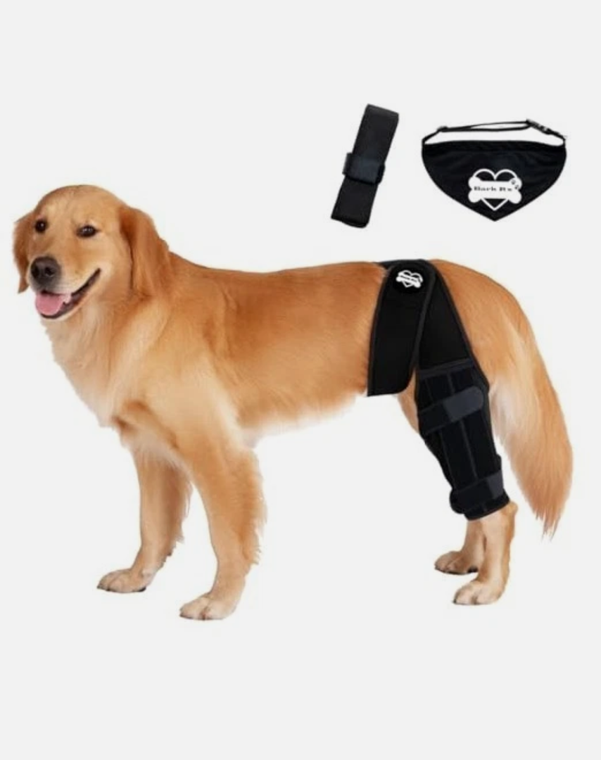 Bark Rx: Dog Knee Brace Hind Leg - Orthopedic Brace for Dogs - Integrated Support Strap for Canine Cruciate Ligament, Luxating Patella, Dislocation Injury - Includes Bandana Collar - Black (M)